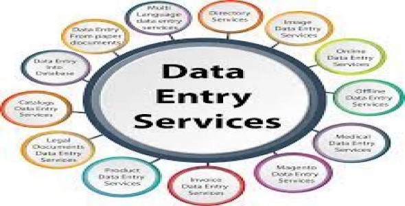 I will do Data Entry  job