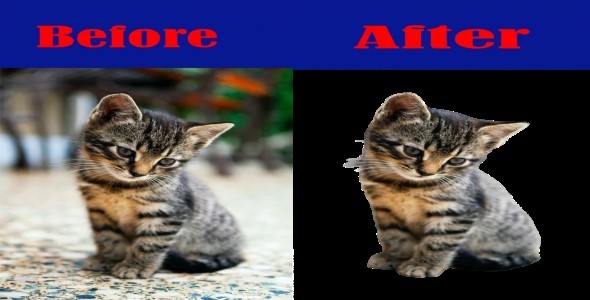 I will remove any kind of background images(25 images) within 2 days