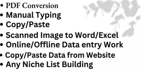 I will do manual typing work, convert PDF to word or excel and edit pdf document