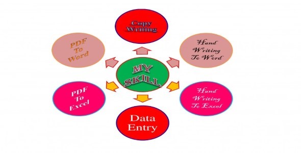 I will do data entry job