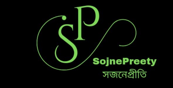 I will do professional logo design with Canva