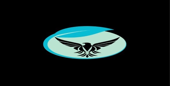 Professional logo designer