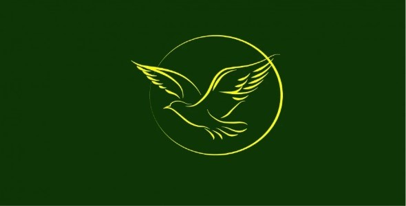 do professional minimalist logo design