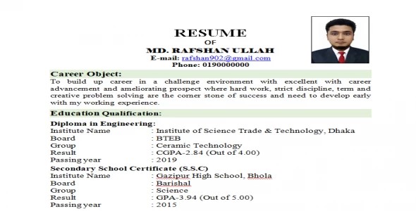 Best Quality CV or Resume create one page and two page or more pages.