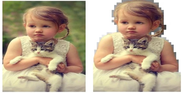 Remove Your Photos Background