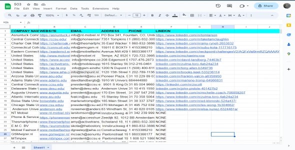 Expert Data Entry for Targeted Lead Generation
