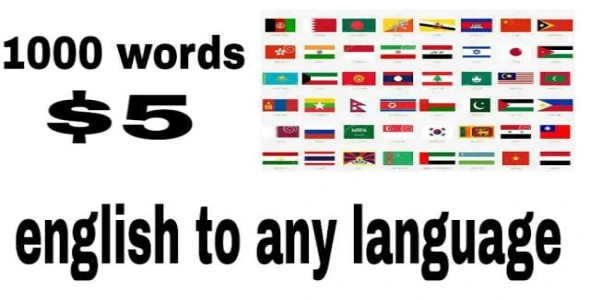 I will do write, translator and data entry job