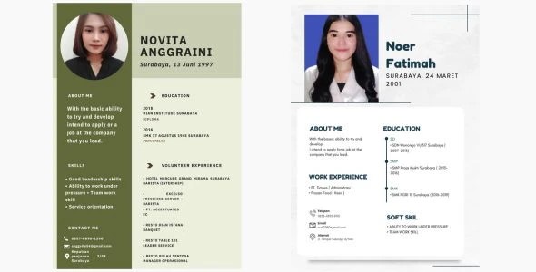 CV / job application cv