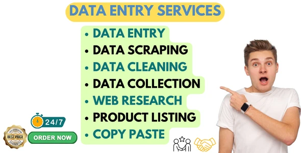 I will do your flawless data entry