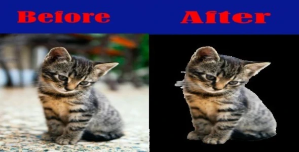 will remove any kind of background images(25 images) within 1 days