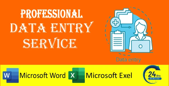 I will do excel data entry, copy paste, web research, data conversion work
