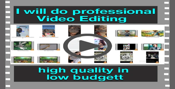 I will do professional video editing