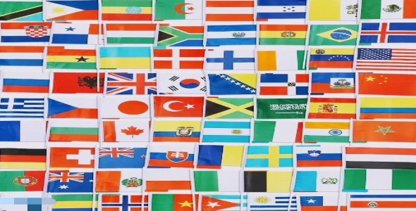 I will translate any language to your desired language accurately