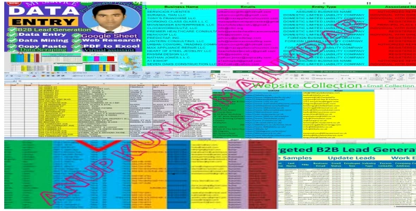 Web research, lead generation and perfect data entry expart,