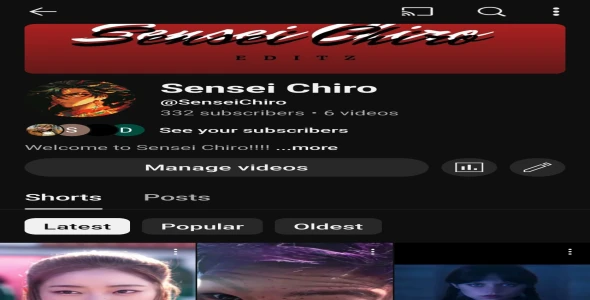 I will create a professional high quality youtube channel for you