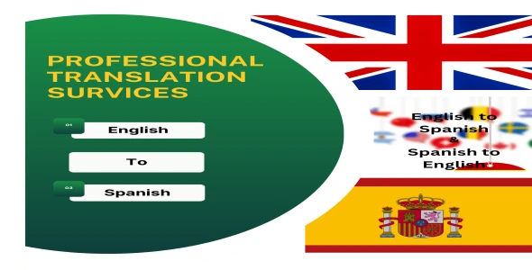 Professional Transaction Survices