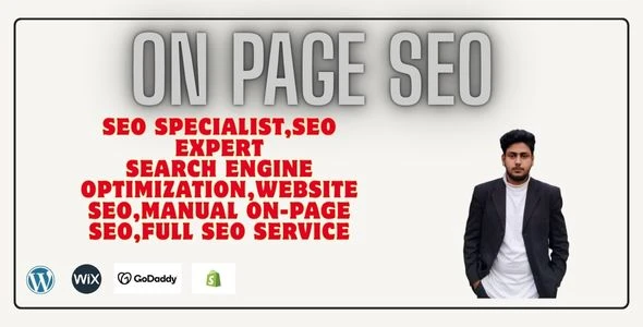 I will Provide Full On-Page SEO Optimization.